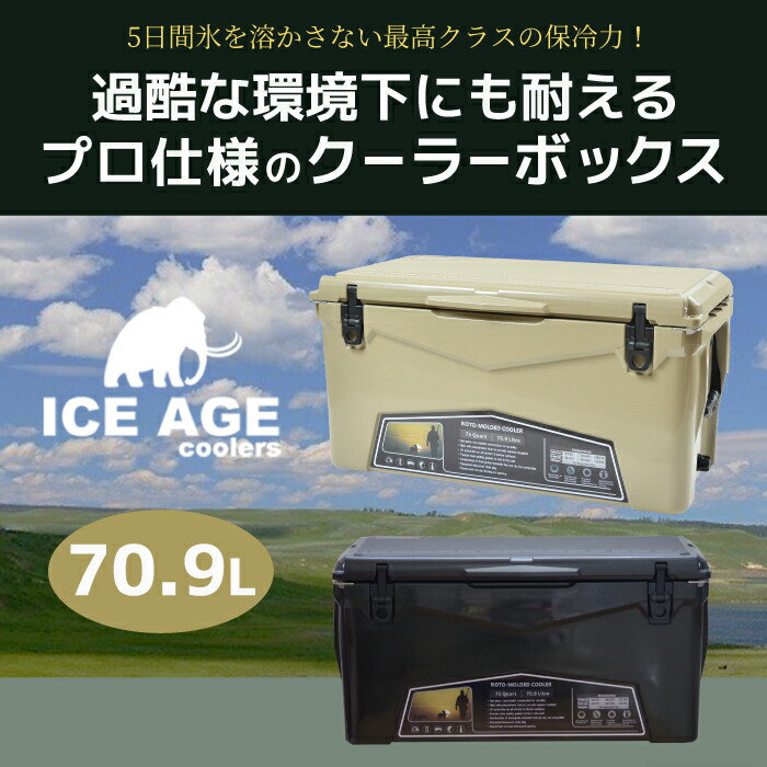 アイスエイジほぼハーフコンプリート ICE AGE アイスエイジ