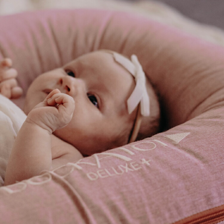 楽天市場】【ドッカトット公式】 カバー デラックス用 洗い替え スペア