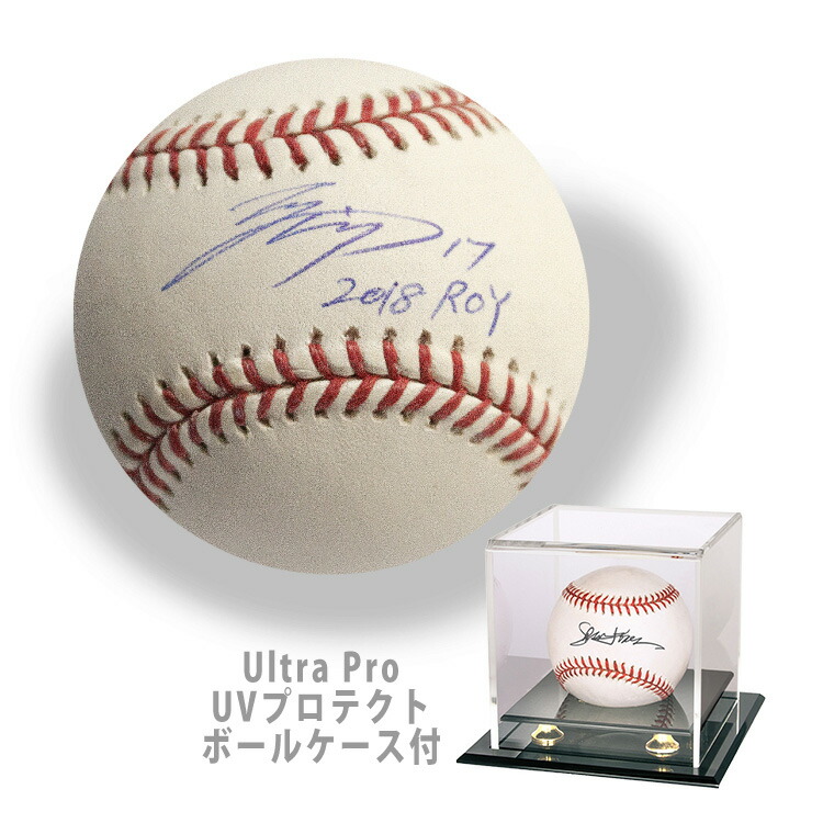 楽天市場】奥 大介 2003 J リーグ 横浜・F・マリノス Perfect Win