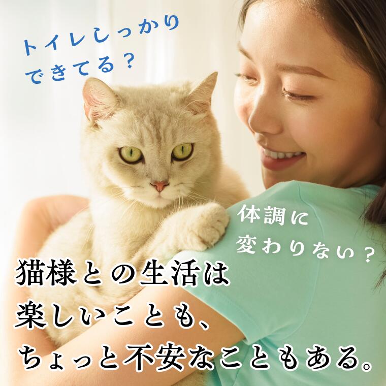 楽天市場】【Catlog公式｜送料無料】Catlog Board 2 今あるトイレや猫