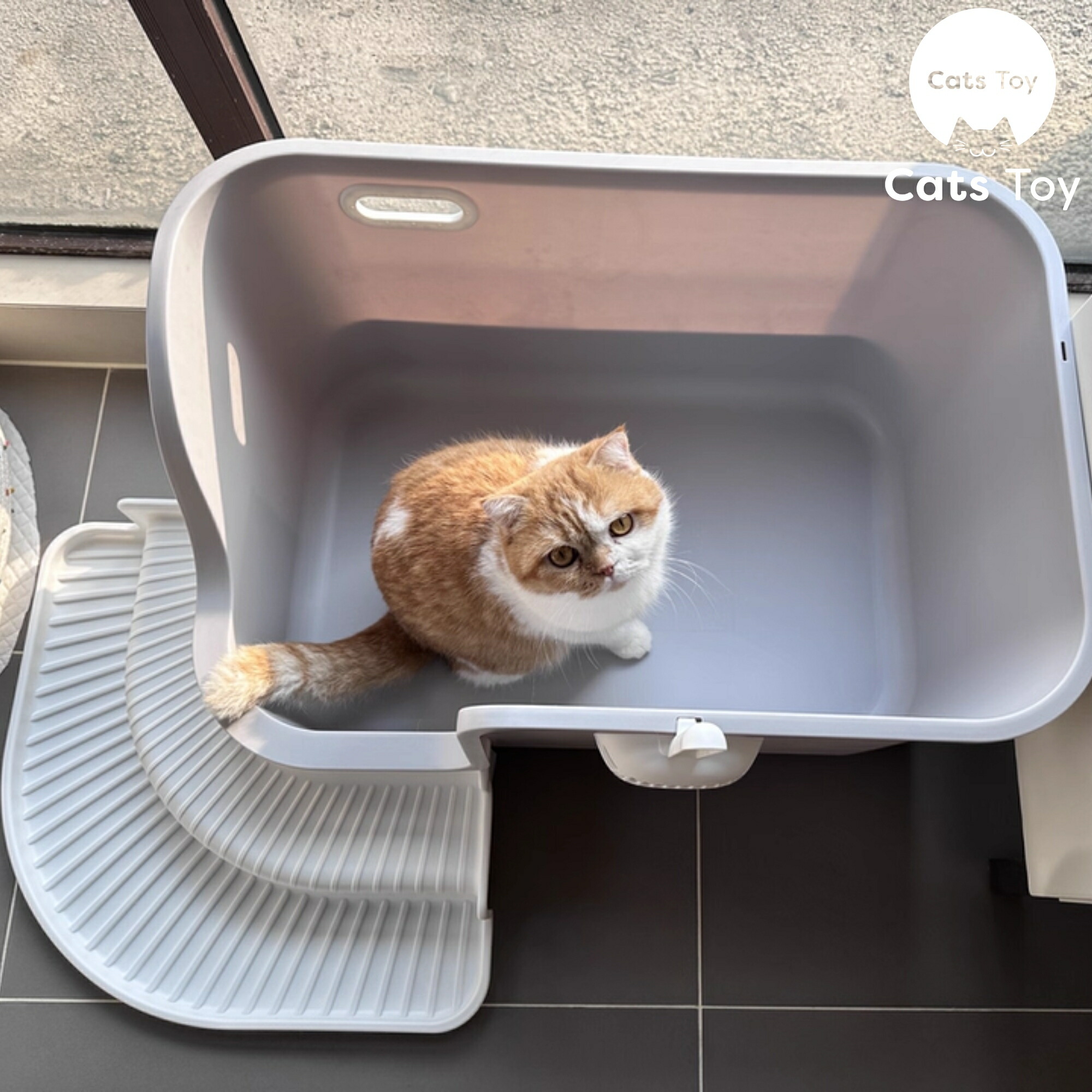 楽天市場】【Cats Toy公式】猫トイレ 大型 65cm 3色展開 ホワイト