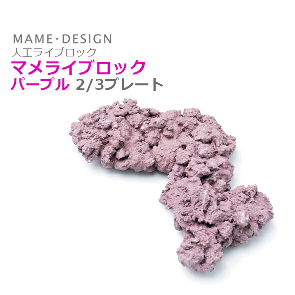 楽天市場】マメライブロック 2/3プレート : CEPPO WEB SHOP