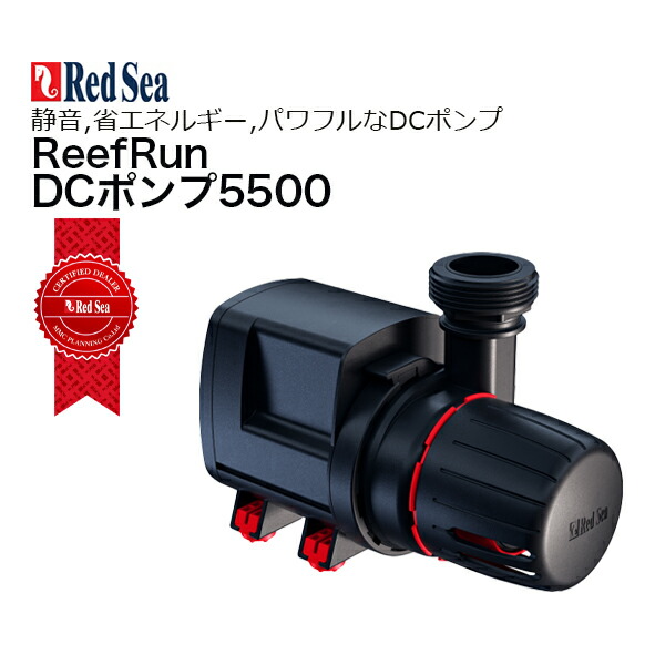 楽天市場】レイシー水陸両用ポンプ・RSD-40A 60Hz 西日本用・【お