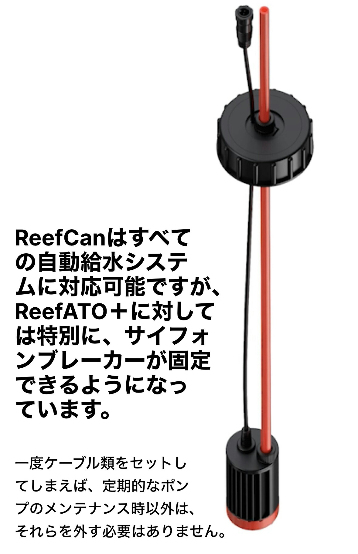 楽天市場】レッドシーReefCan 40 : CEPPO WEB SHOP