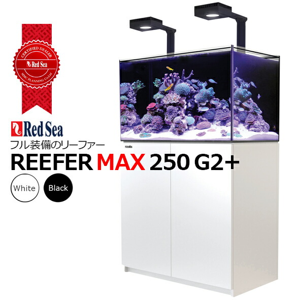 リーファー250 red sea reefer 250 引取り限定