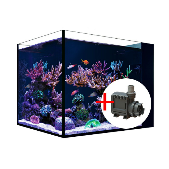 楽天市場】レッドシーDESKTOP Peninsulaデスクトップ ペニンシュラ+