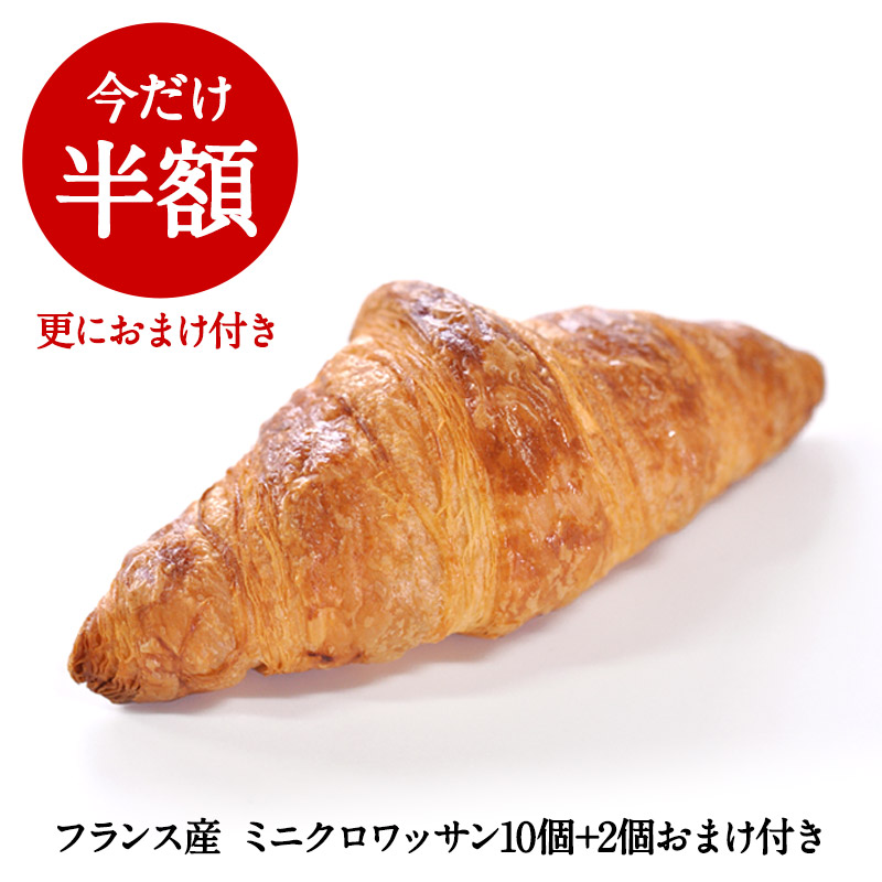 licca様 monsieur mini クロワッサン licca様 monsieur mini