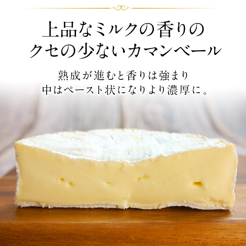 楽天市場】フランス産 モンペール カマンベール 250g［冷蔵］【3〜4
