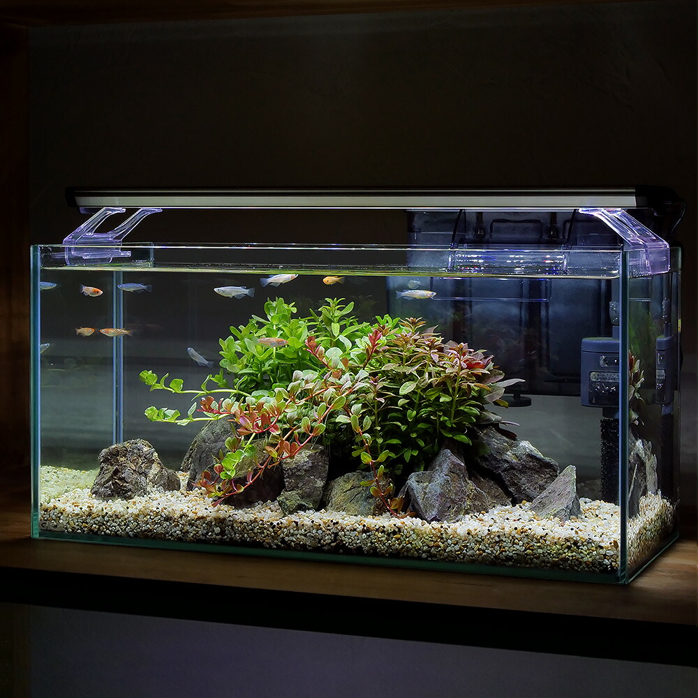 1200ガラス水槽セット値下げ価格‼️