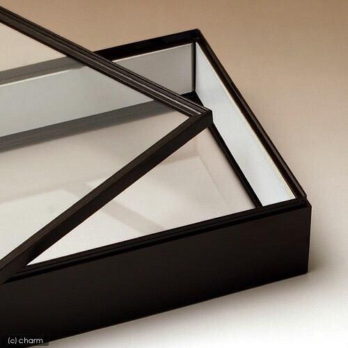 楽天市場】シーラ箱 （両面ガラスタイプ） 昆虫 標本用品 標本箱 関東