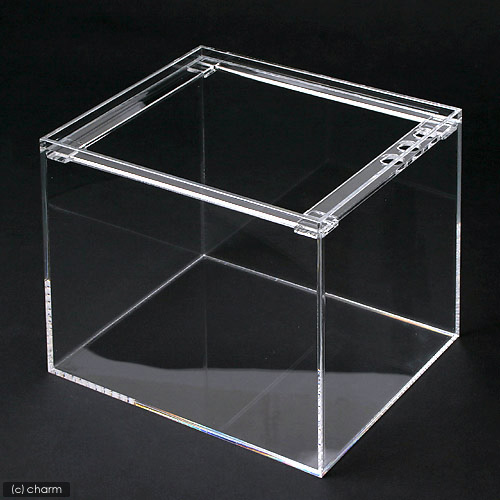 アクリル水槽4mmクリア、rodin。 アクリル水槽4mmクリア、rodin