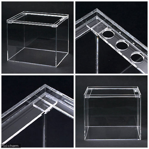 楽天市場】水槽 アクリル水槽 ラクシス No．12 （300×250