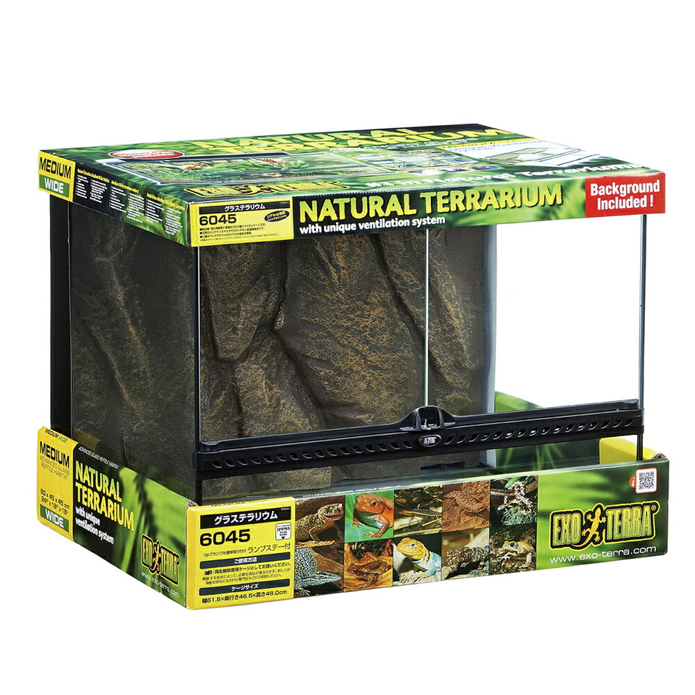 フ*ゴ様 エキゾテラ GEX EXOTERRA GEX 6030 爬虫類 飼育 Amazon