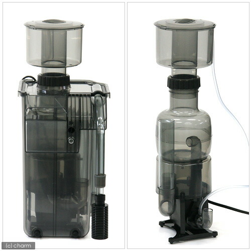 楽天市場】カミハタ 海道達磨 外掛け式プロテインスキマー