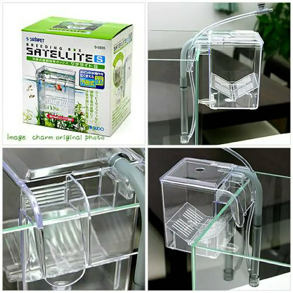 楽天市場】スドー 外掛式産卵飼育ボックス サテライトS 関東当日便