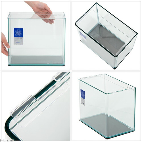 GR custam seven 】コトブキ レグラスR-900L 水槽 GR custam seven 様