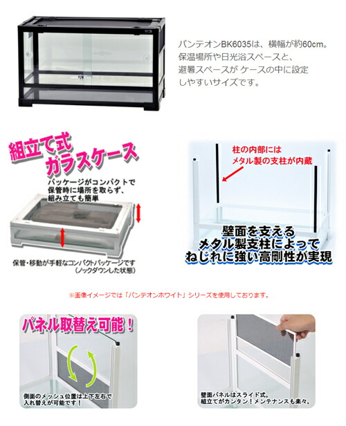 楽天市場】爬虫類ケージ 三晃商会 パンテオン ブラック BK6035