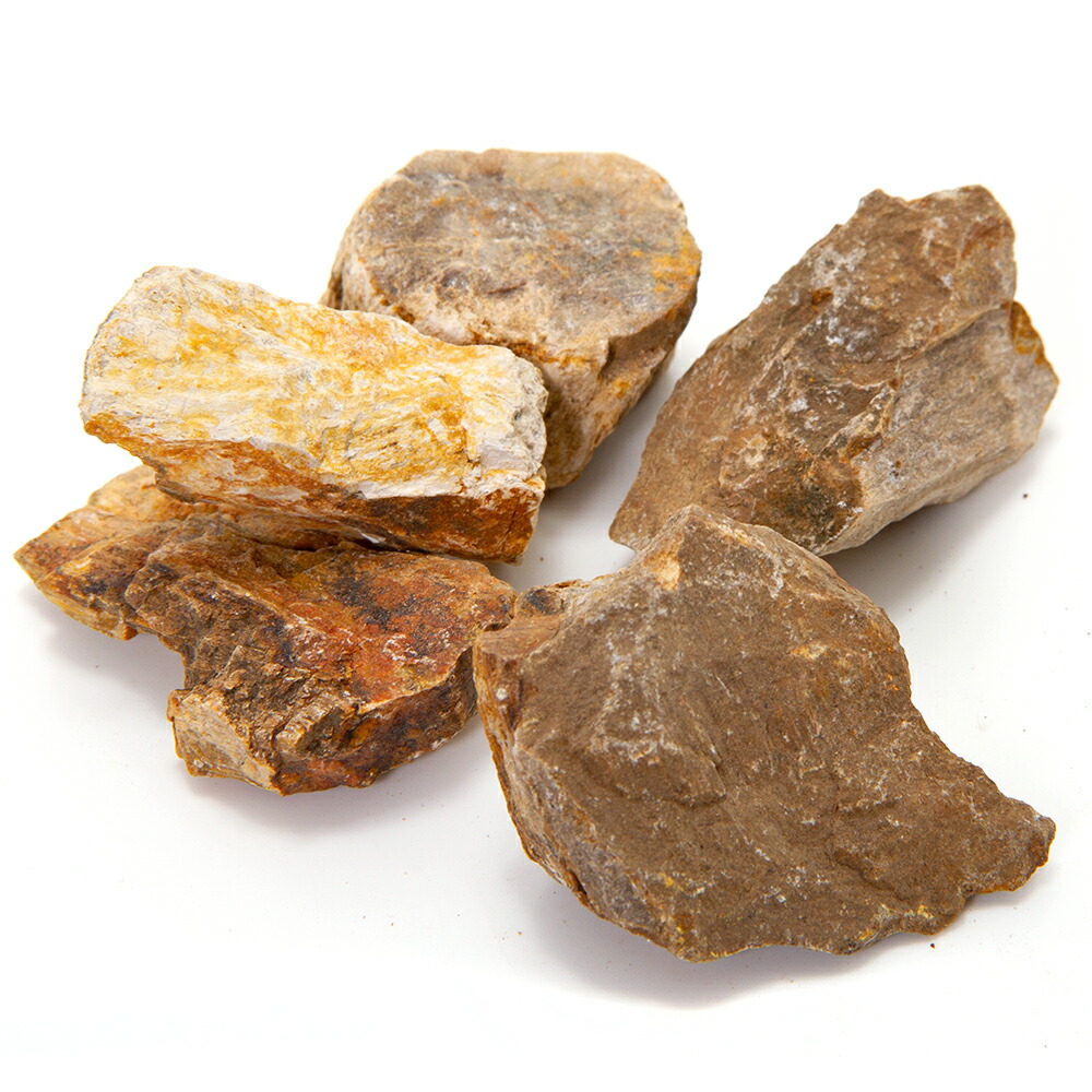 楽天市場】形状お任せ 木化石 SSサイズ（約3〜6cm） 5個入 関東