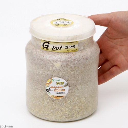 楽天市場】菌糸ビン G−pot カワラタケ 1500cc（1本