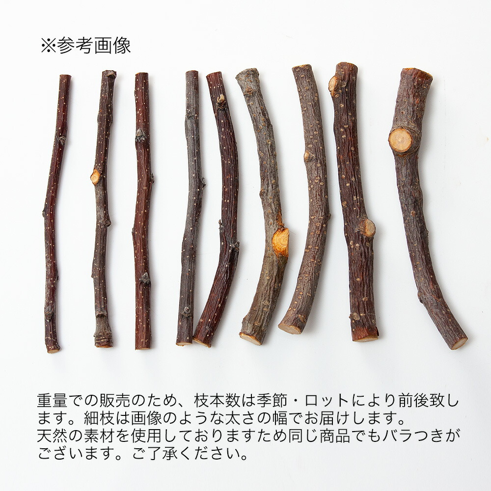 楽天市場】かじり木 国産 りんごの木 細枝 500g お徳用パック