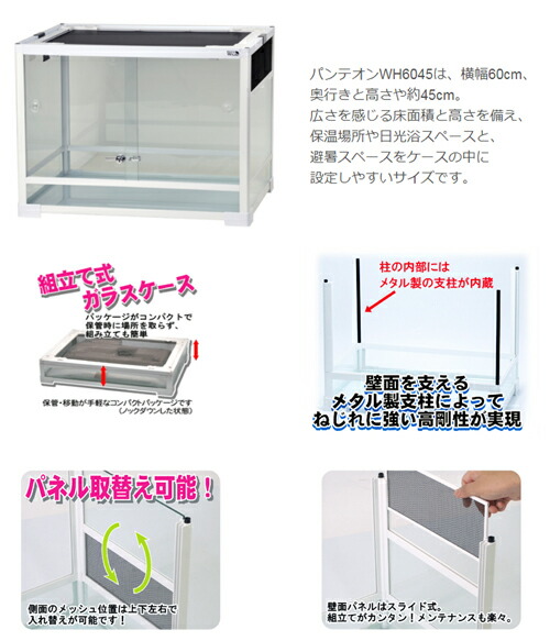 新品 爬虫類飼育セット 60サイズ爬虫類飼育ケージ 三晃商会 パンテオン