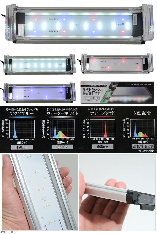 楽天市場】GEX クリアLEDパワー3 300 30cm水槽用照明