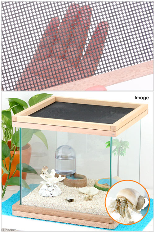 楽天市場】アクロ27用 メッシュ付木枠セット（ラワン） 爬虫類 飼育