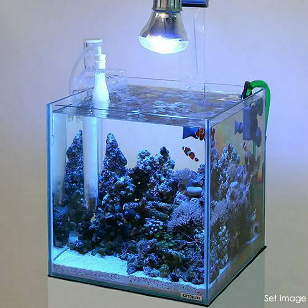 楽天市場】マメデザイン マメスキマー3 （mame skimmer3