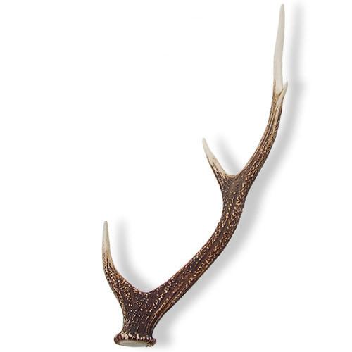鹿の角インテリア