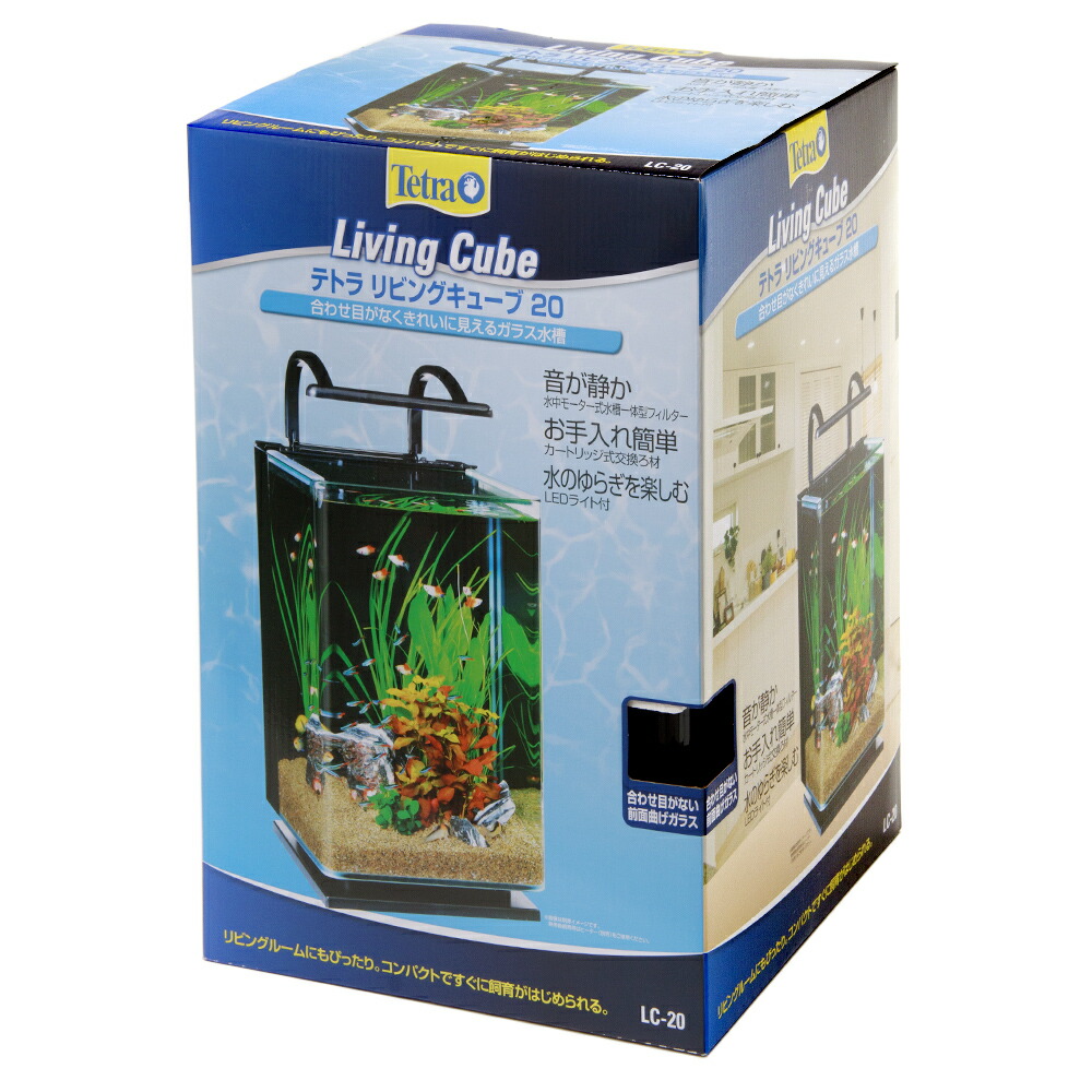 水槽、外部式濾過、ライトのセット