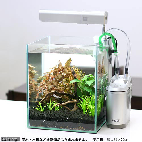 楽天市場】（水草）らくらく小型水槽用水草セット（水上葉）（無農薬
