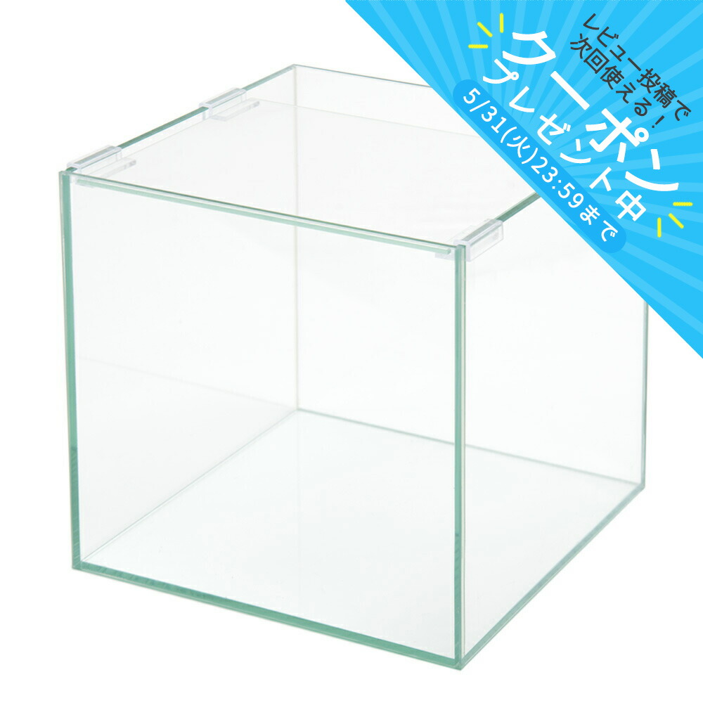 楽天市場】ガラス水槽 アクロ25キューブ 25×25×25cm 約