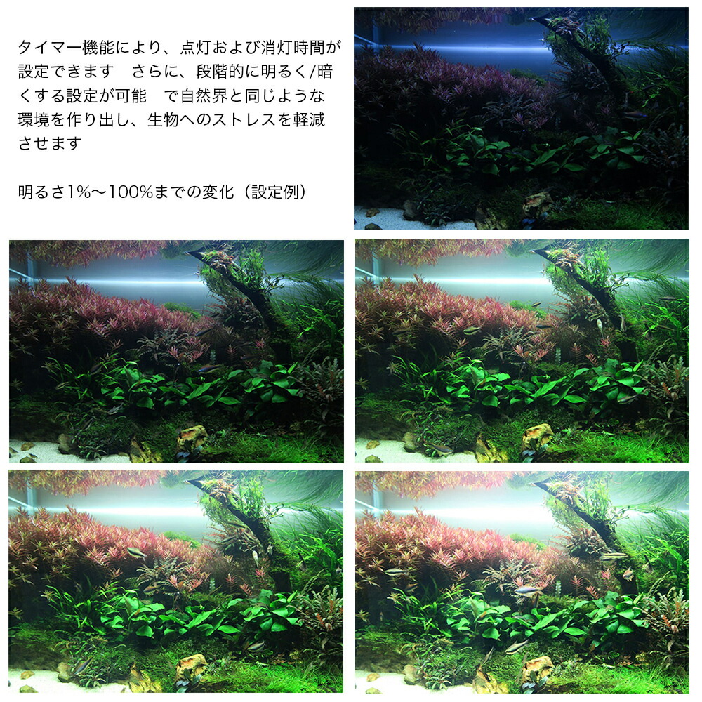 楽天市場】Chihiros LED WRGB2 30 10周年モデル