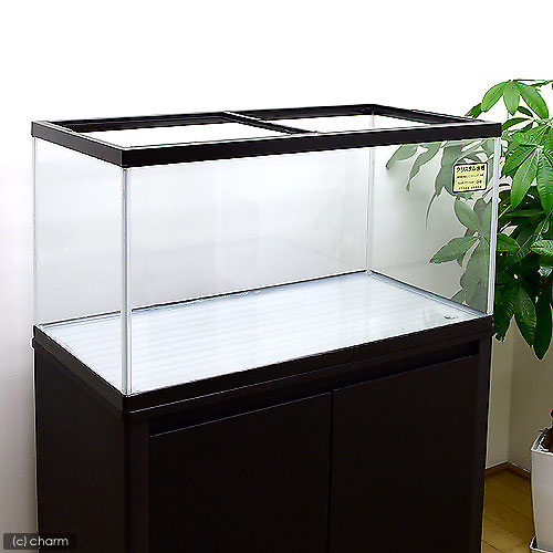 楽天市場】（大型）ニュークリスタル・カラフル水槽（90×45