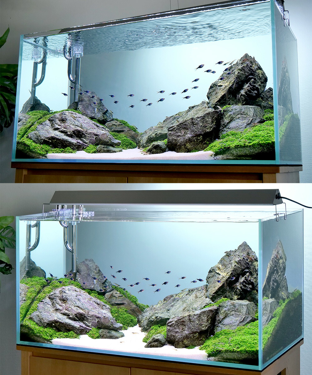 楽天市場】アクロ TRIANGLE LED VIVID 1200 水草