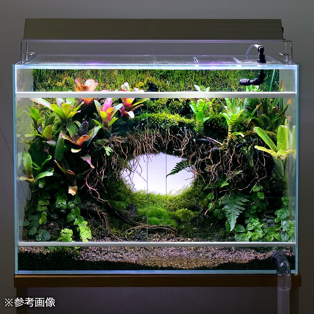 初めてのアクアテラリウム No.3 パルダリウム イモリウム 20cm水槽