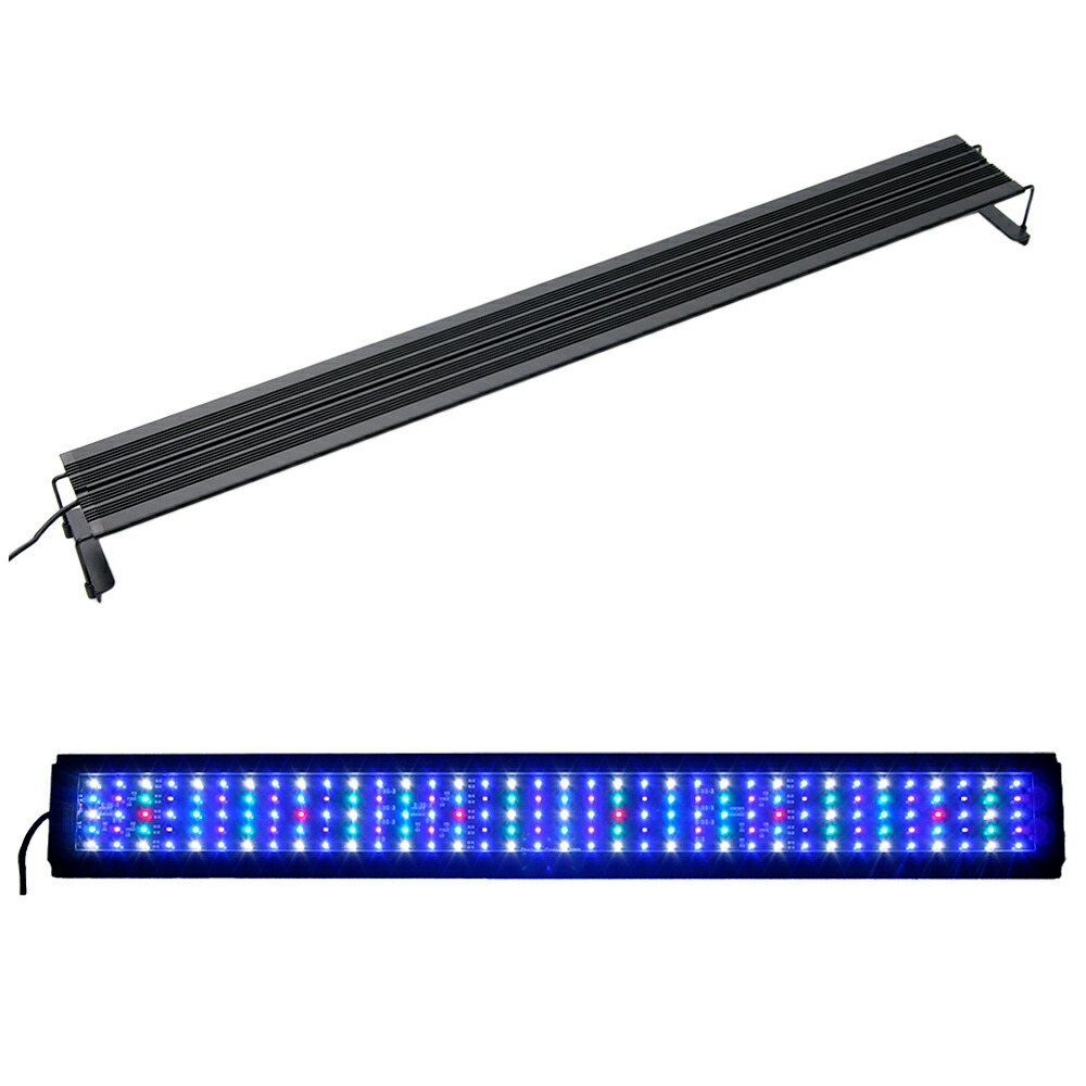 楽天市場】ボルクスジャパン Grassy Legna Marine