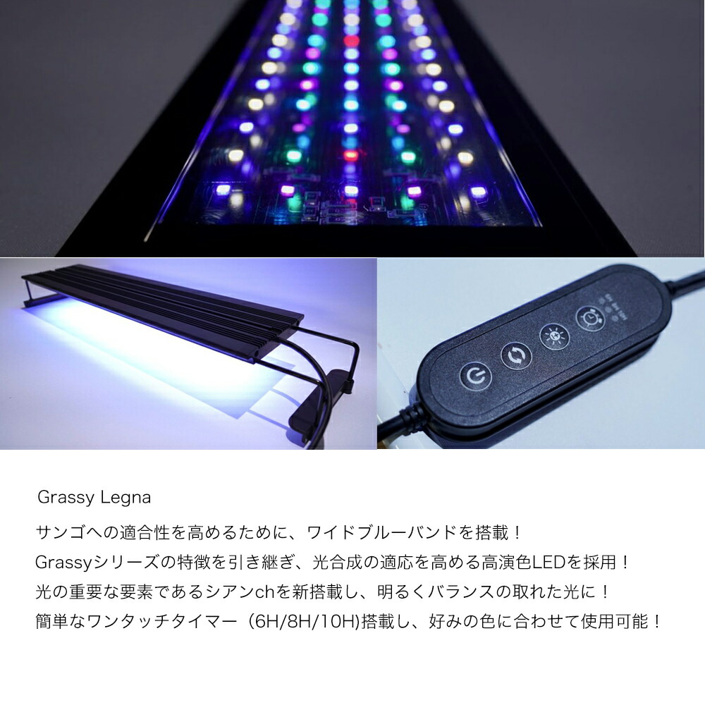 楽天市場】ボルクスジャパン Grassy Legna Marine