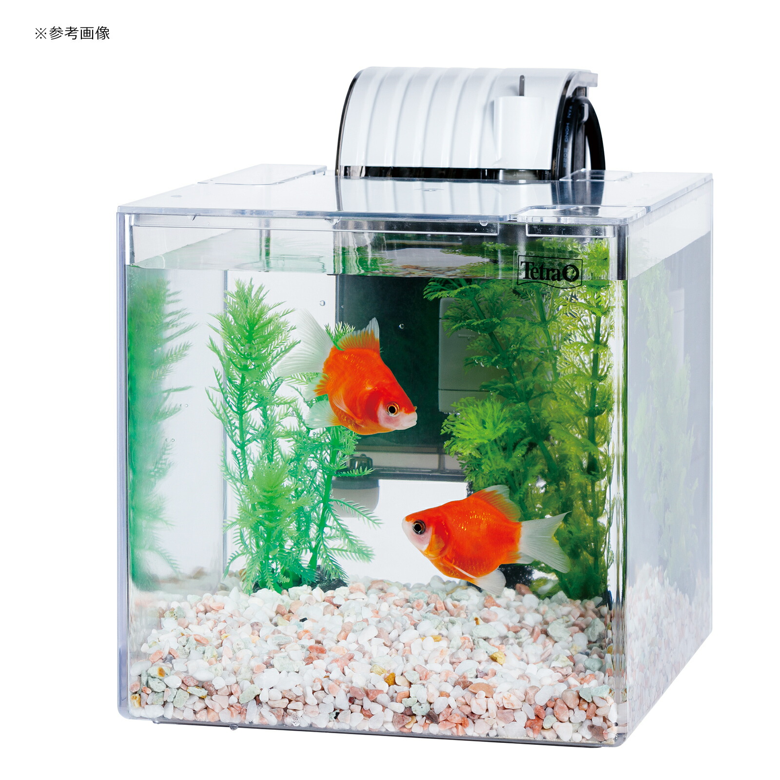 複数セット商品 自作 子水槽 その他 複数セット商品 自作 子水槽 その他