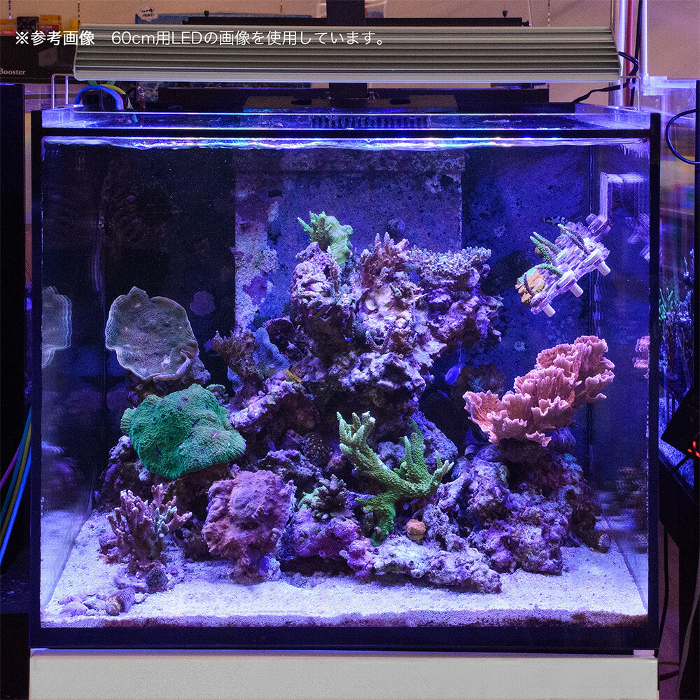 シュウサン専用アクロ TRIANGLE LED BRIGHT 900 楽天市場】アクロ