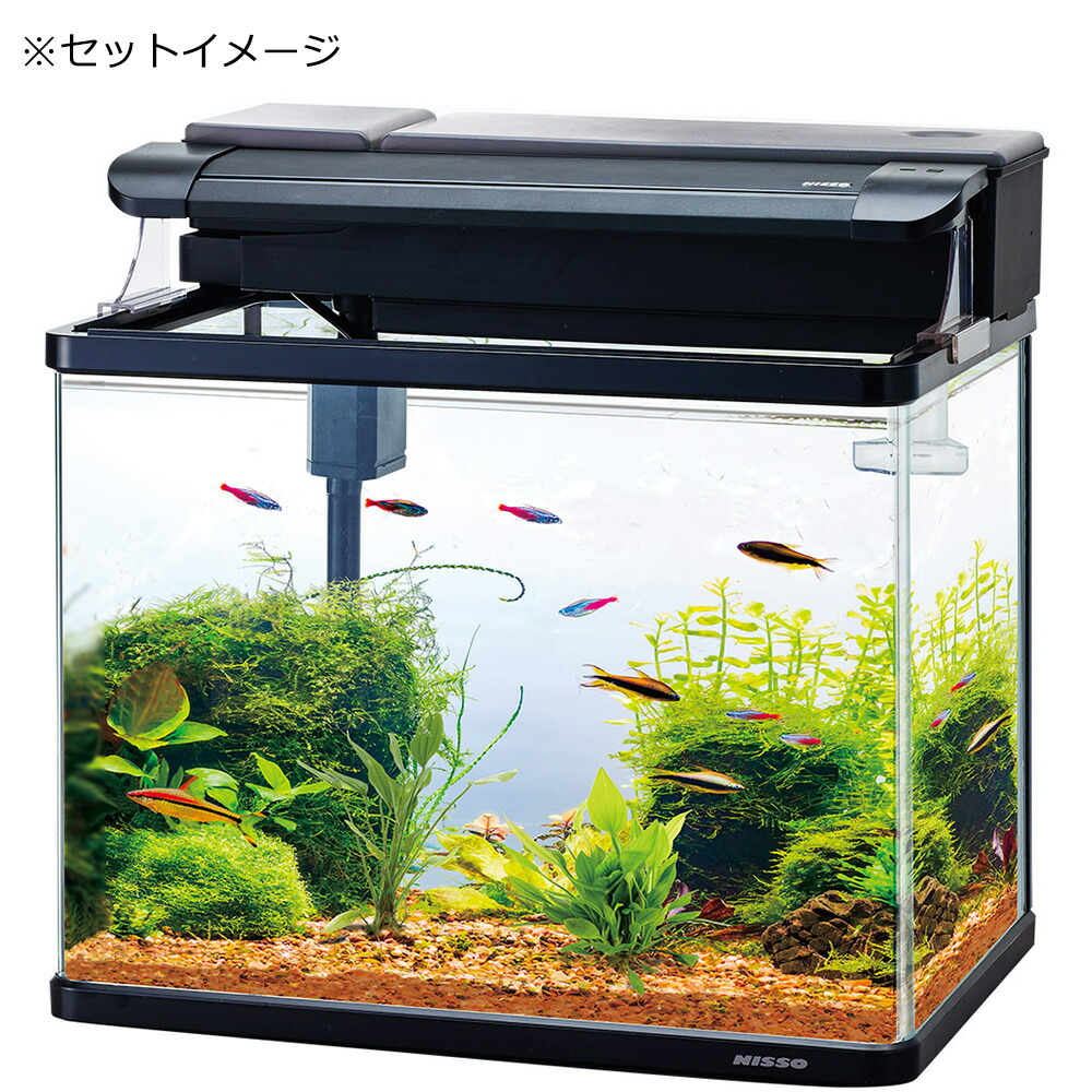 楽天市場】ニッソー スティングレー450H LED熱帯魚セット
