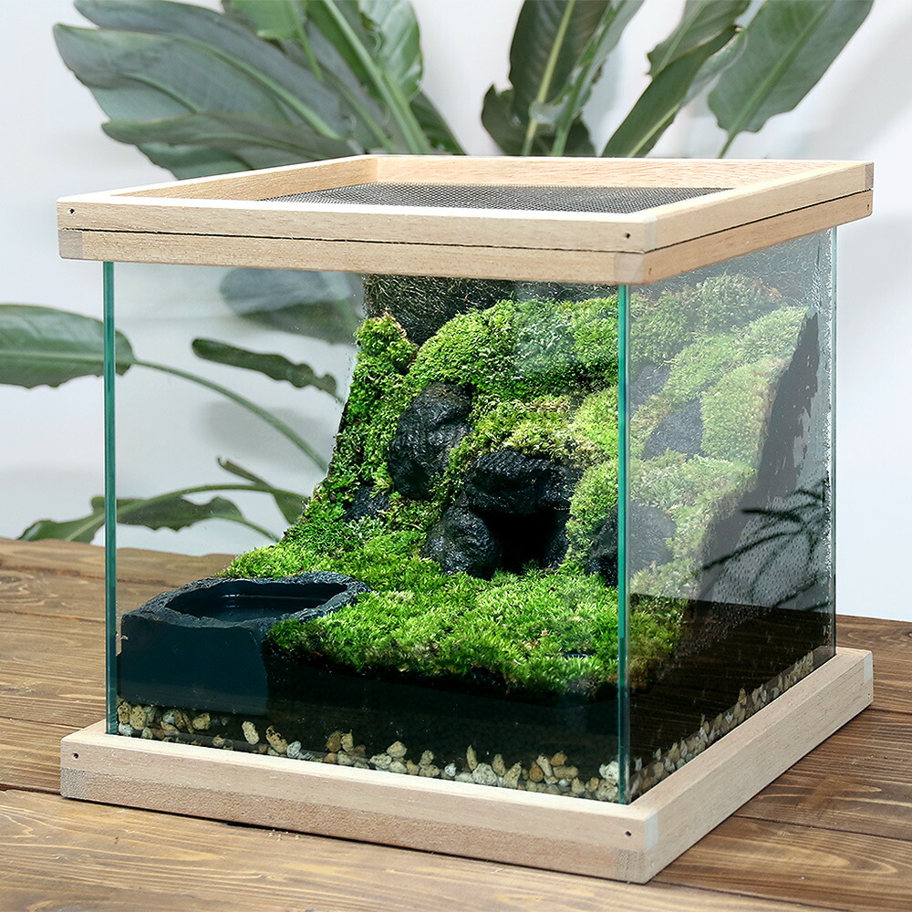 アクアサイダーのイモリウム水槽 サイズ45cm 45×45×45 アカハライモリ