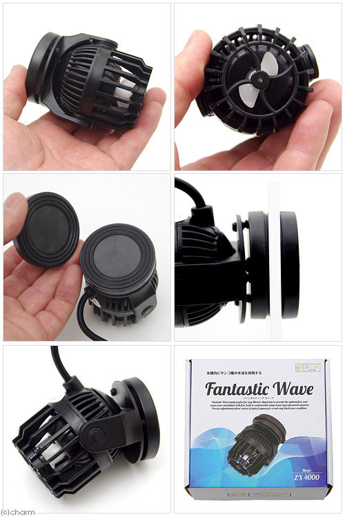 楽天市場】ZOOX ファンタスティック ウェーブ ZX4000