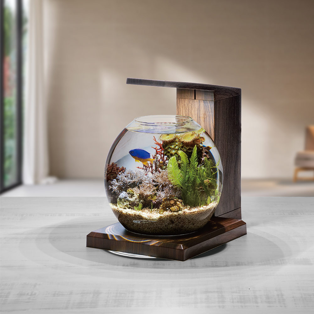 GEX ペルコ チャコールブラック 小型水槽 付属品・おまけ有 楽天市場