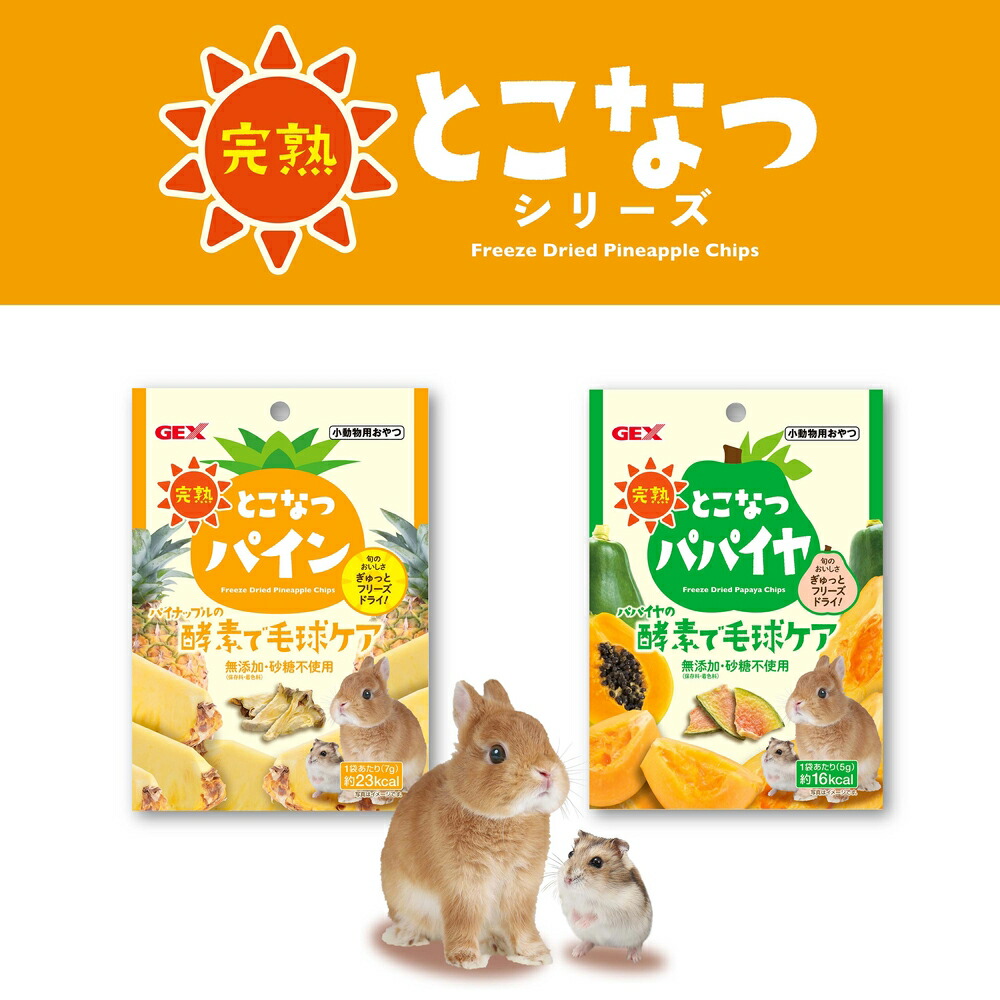 楽天市場】GEX 完熟 とこなつパイン 7g おやつ ドライフルーツ