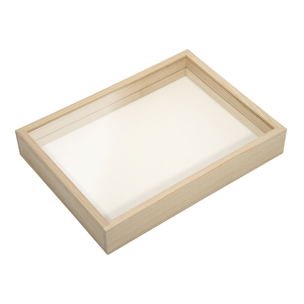 昆虫標本 ケース付き 約5cm x 7cm アンモナイト　爪 昆虫標本 ケース付き 約5cm x 7cm アンモナイト 爪の通販はau PAY