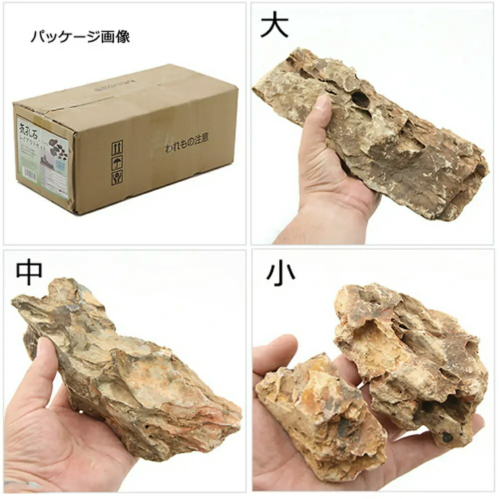 Authur 気孔石 14kg Amazon | カミハタ 気孔石 レイアウトセット (実際