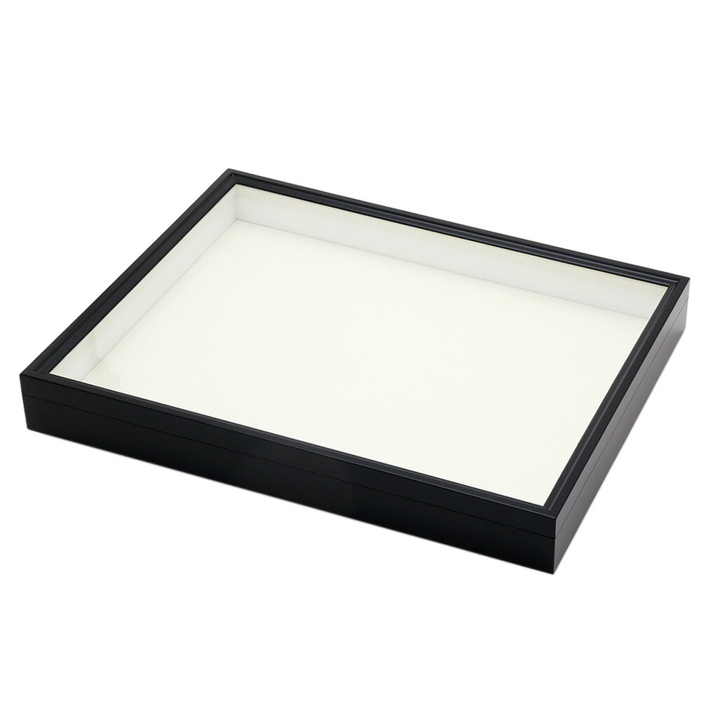 値下げ 蝶 標本 013 ケースサイズ40×30センチ 厚さ6センチ 【公式通販】