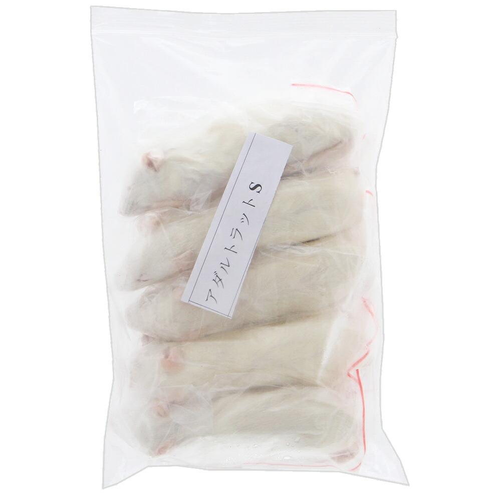 冷凍ラット アダルトL (180~220g) 30匹 まとめ売り 楽天市場】冷凍