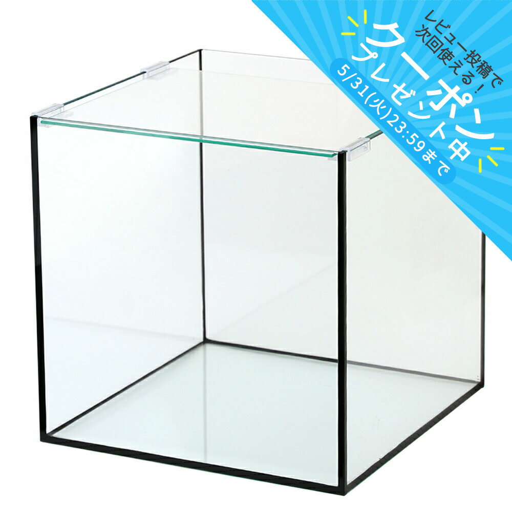 楽天市場】ガラス水槽 アクロ30キューブ ブラックシリコン 30×30